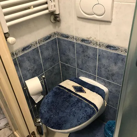 Small Flat 50 M From The Slopes
